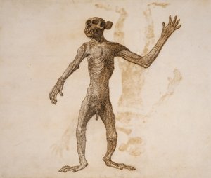 モンキースタンディング、前面ビュー（紙のグラファイト上にペンとインク） 作： George Stubbs